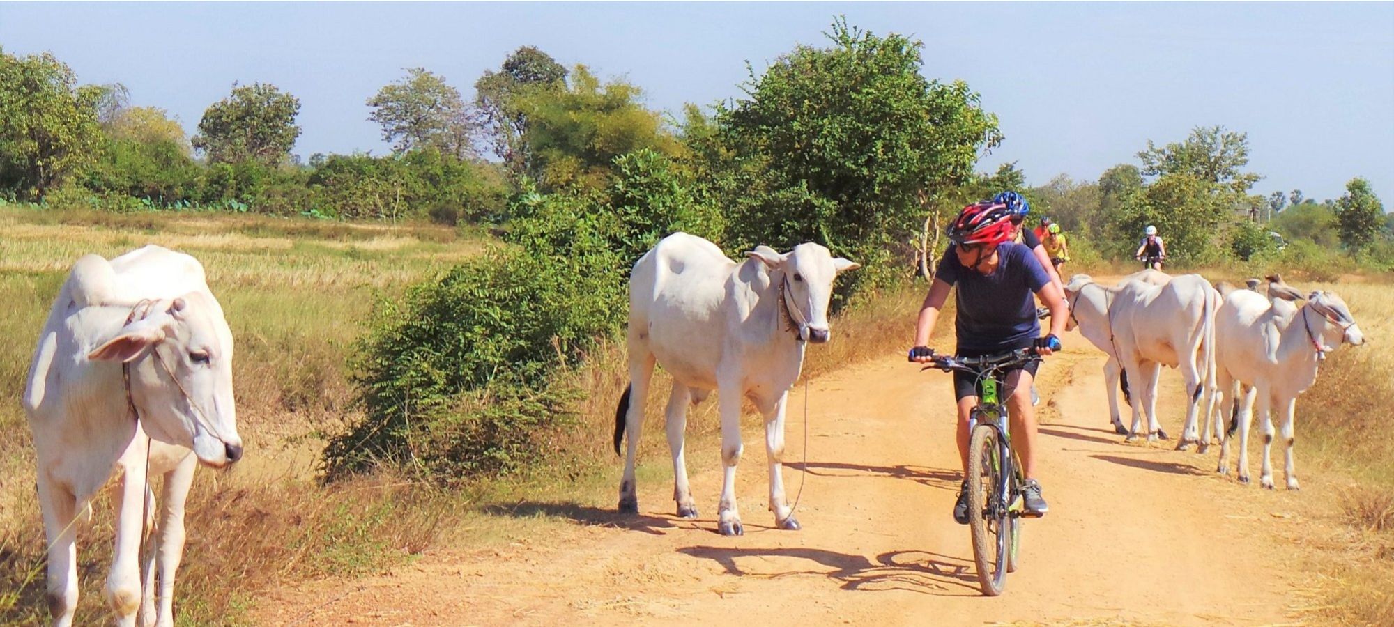 cycling holidays cambodia